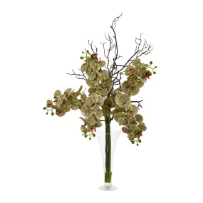 38” Elegant Phalaenopsis Orchid Arrangement in Flared Vase