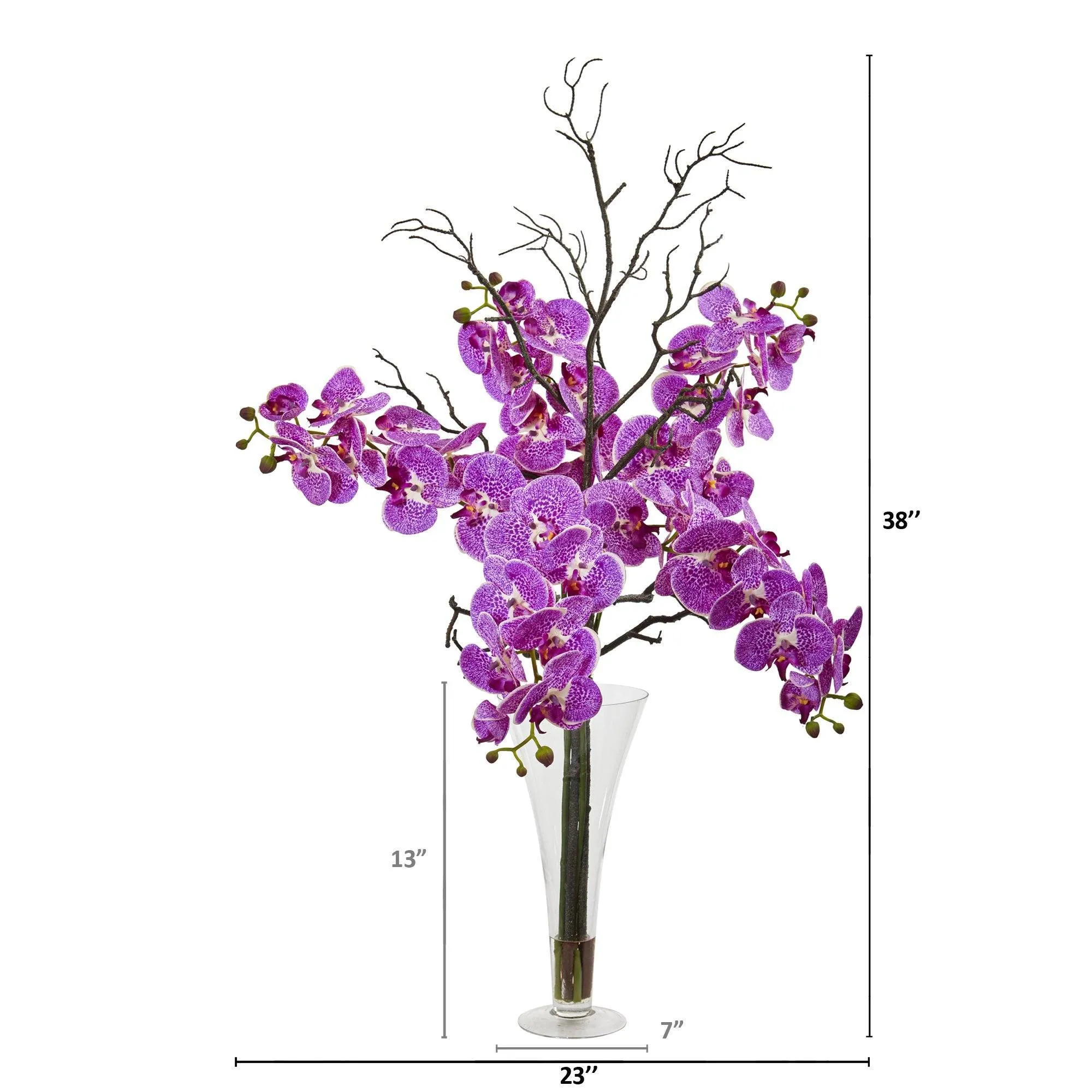 38” Elegant Phalaenopsis Orchid Arrangement in Flared Vase