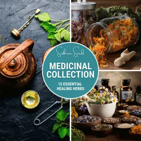 Medicinal Herb Seed Collection - 15 Varieties