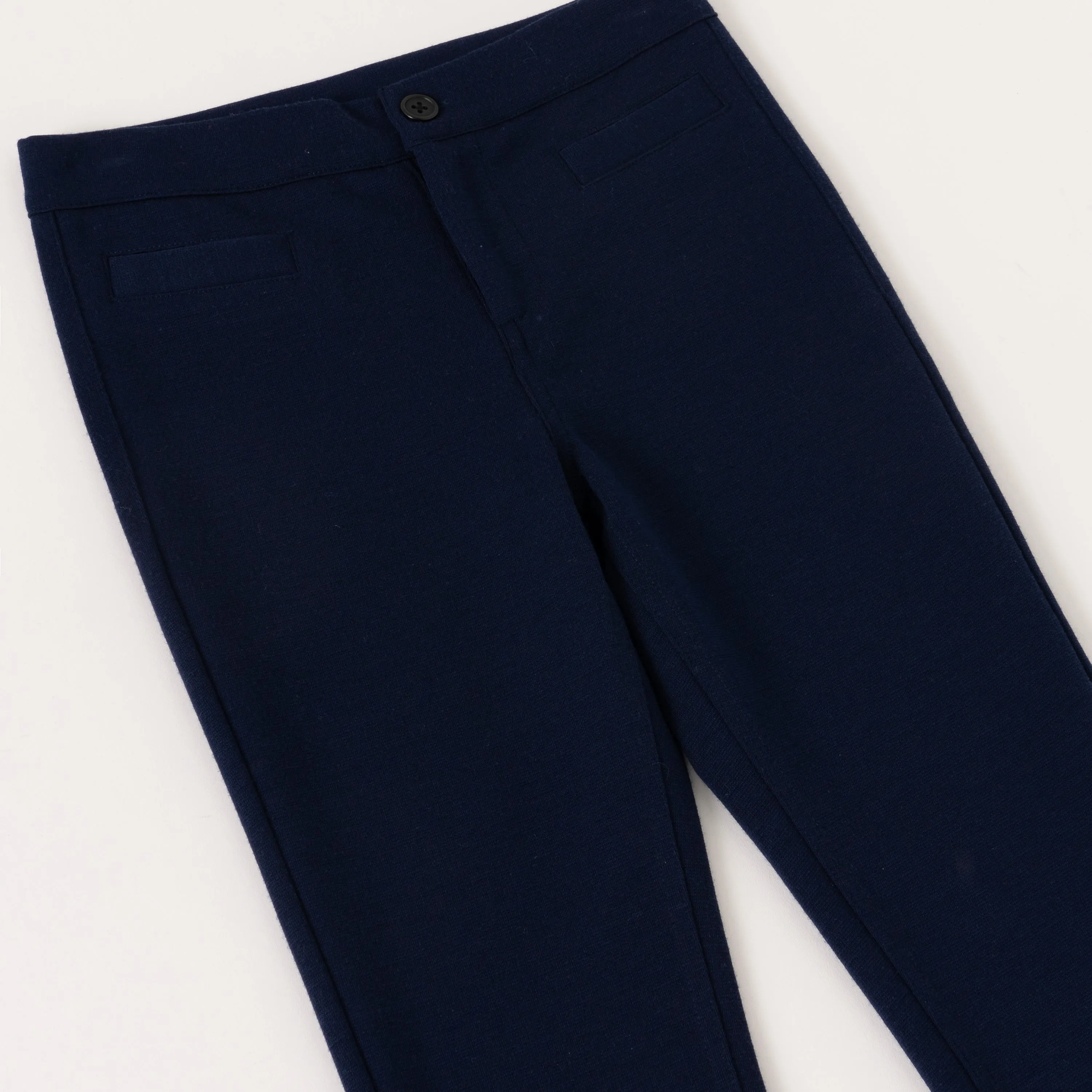 Ponte Pant